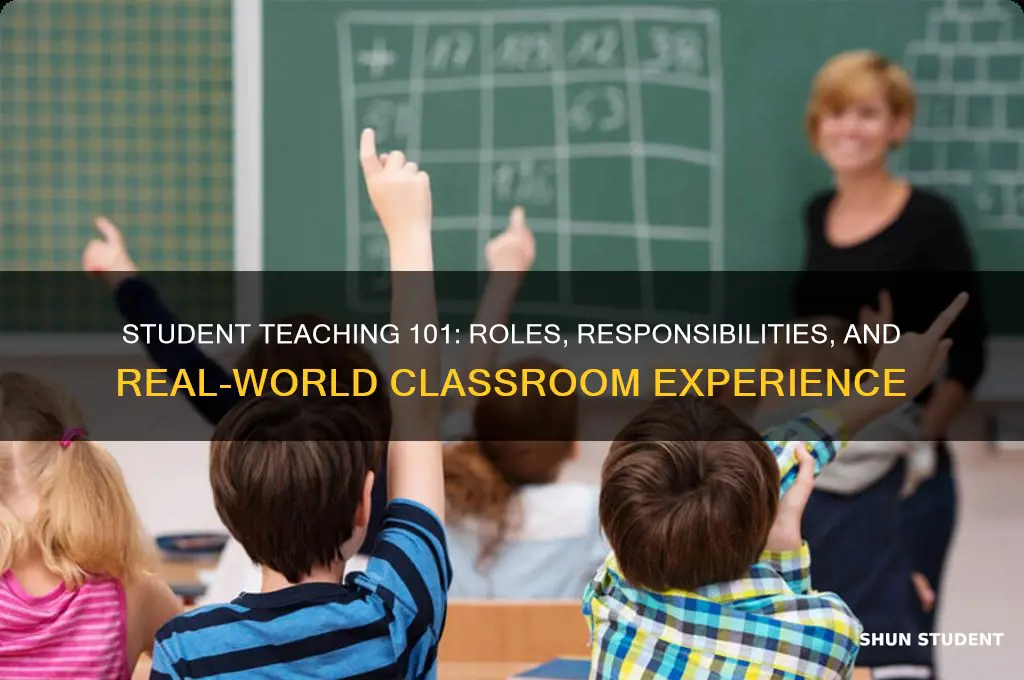 what do you do as a student teacher