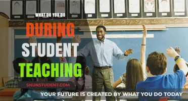 Mastering the Classroom: Essential Strategies for Student Teaching Success