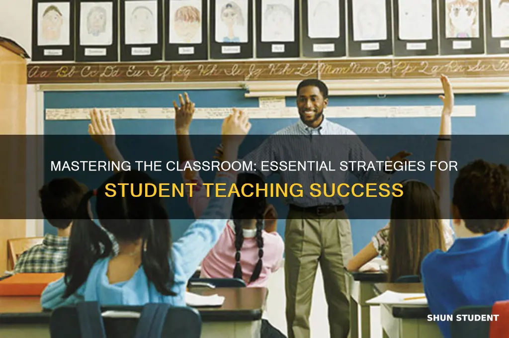 what do you do during student teaching