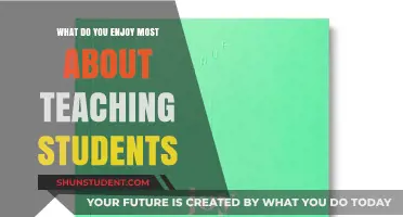 The Joy of Teaching: Inspiring Young Minds to Learn and Grow