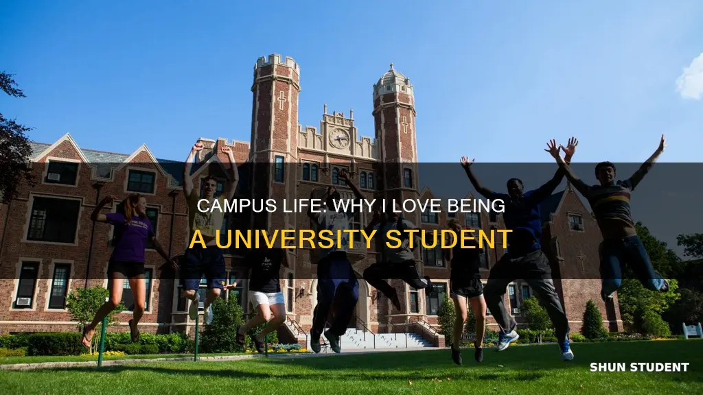 what do you like about being a university student