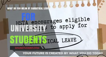 Understanding Sabbatical Leaves for University Students