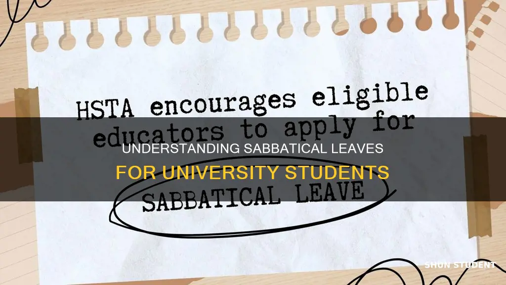what do you mean by sabbatical leave for university students