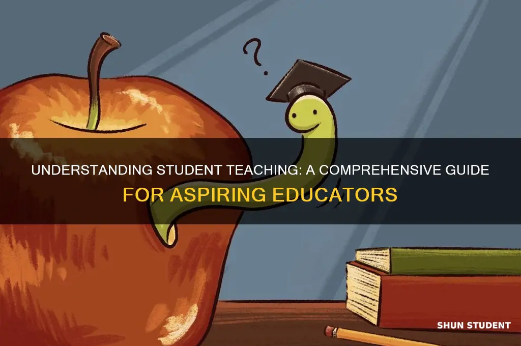 what do you mean by student teaching