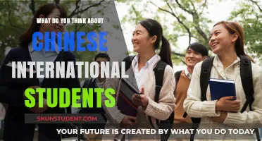 Chinese International Students: An Educational Perspective