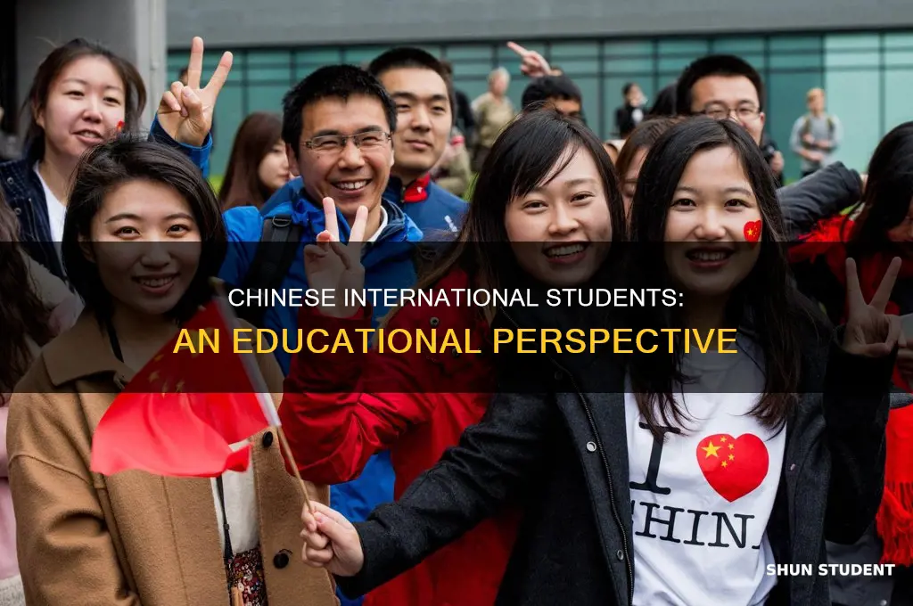 what do you think about chinese international students