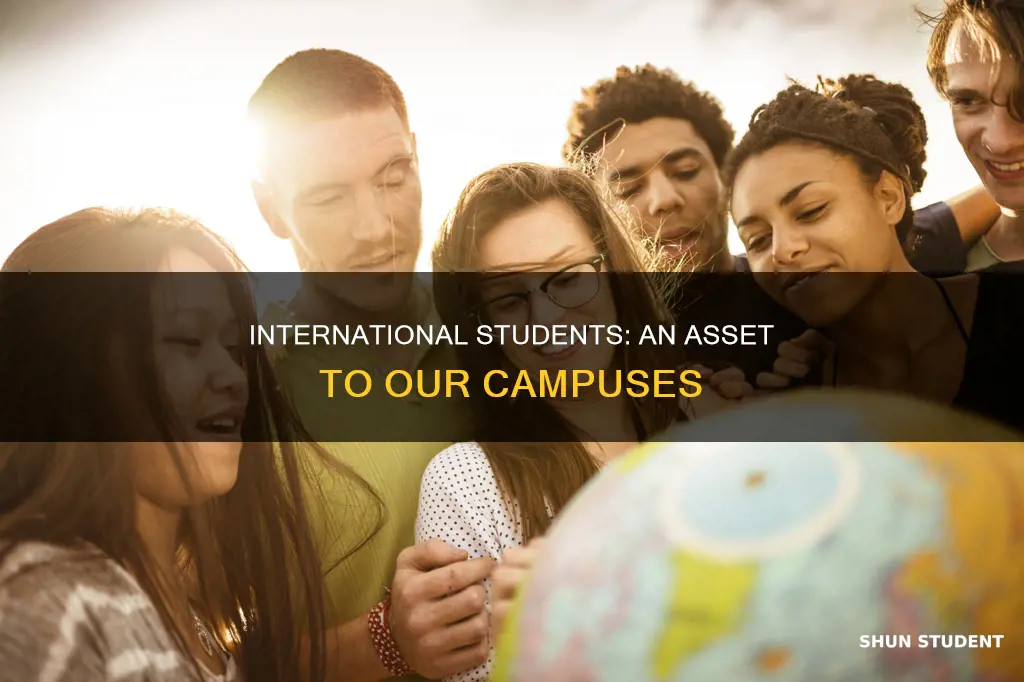 what do you think about international students