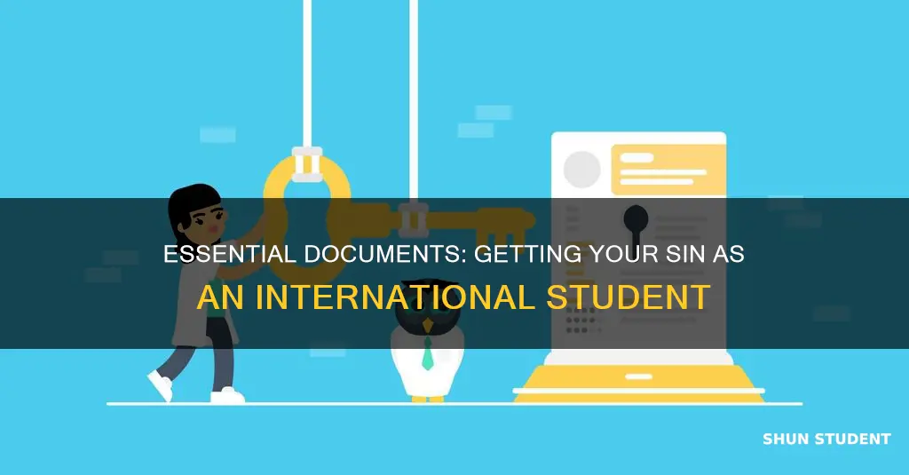 what documents are required for sin number for international students