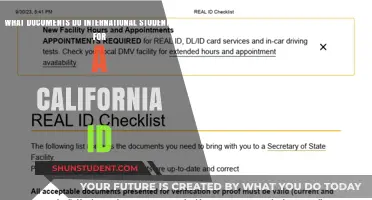 Essential Documents: Getting a California ID as an International Student