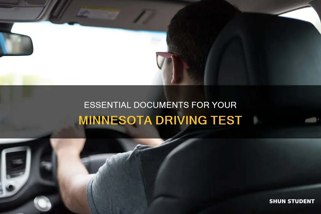 what documents for driving test for international student in minnesota
