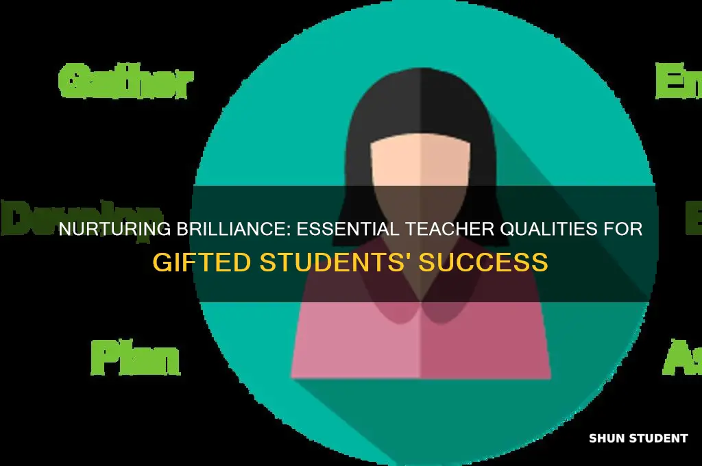 what does a gifted student need in a teacher