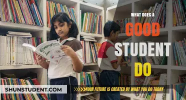 Characteristics of a Good Student: A Comprehensive Guide