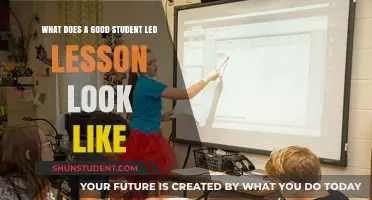 Empowering Learning: The Blueprint for an Effective Student-Led Lesson