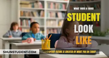 Characteristics of a Good Student: A Comprehensive Guide