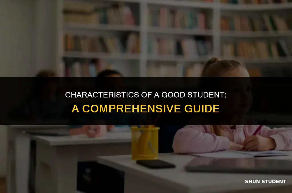 what does a good student look like