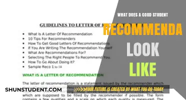 Crafting the Perfect Student Recommendation: A Comprehensive Guide