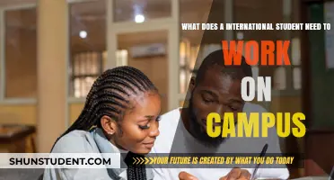 International Student Guide to On-Campus Work