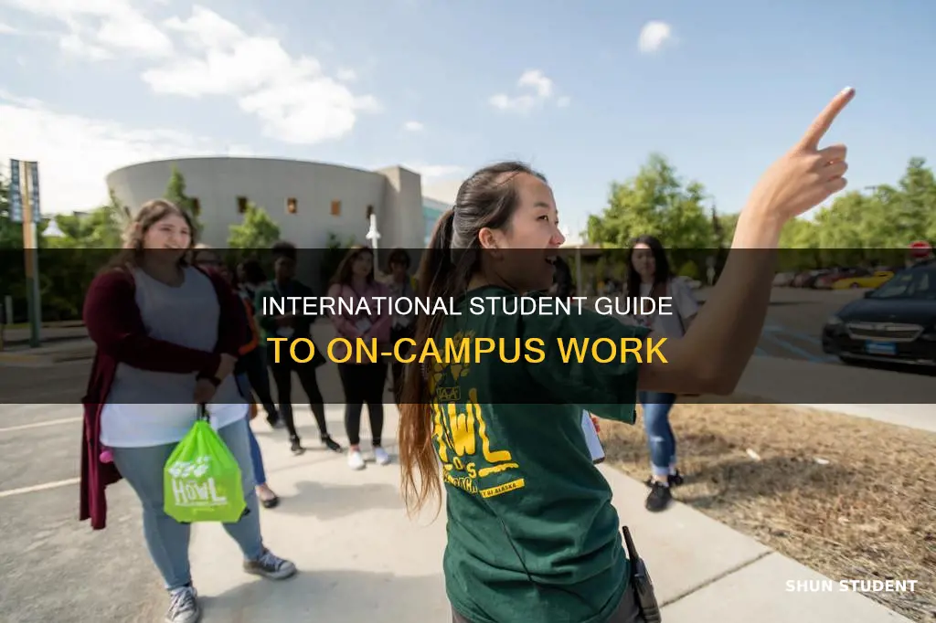 what does a international student need to work on campus