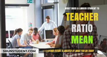 Larger Student-Teacher Ratios: Impact on Learning and Classroom Dynamics
