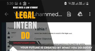 A Day in the Life of a Law Student Intern