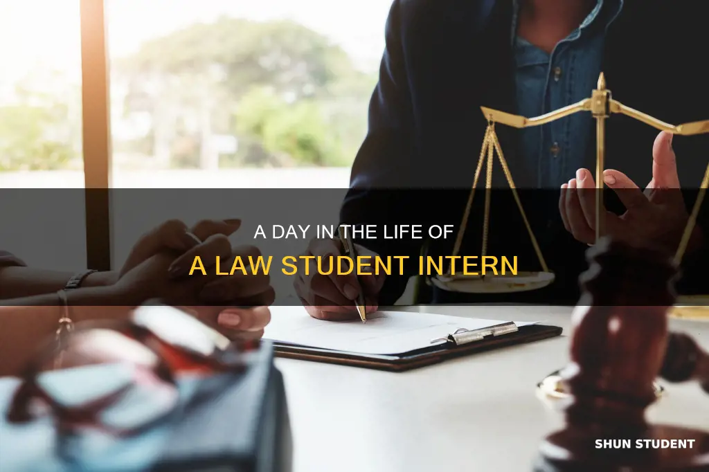 what does a law student legal intern do