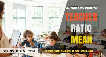 Understanding the Impact of Low Student-to-Teacher Ratios on Education