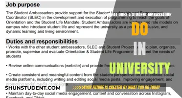University Student Ambassador: Roles and Responsibilities