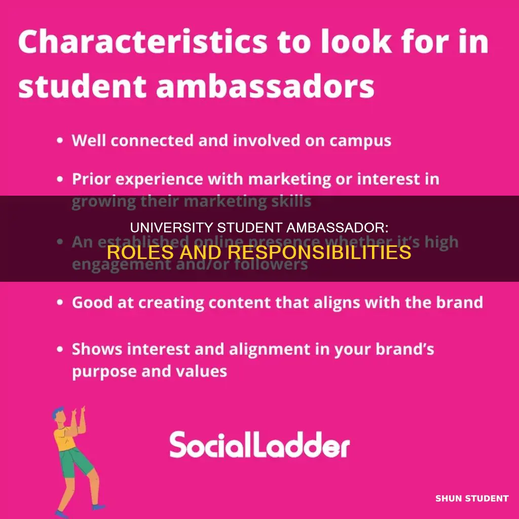 what does a student ambassador do in university
