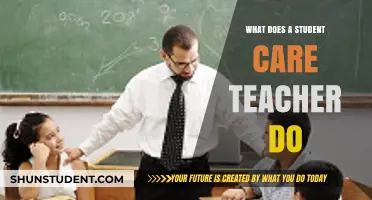 Understanding the Role of a Student Care Teacher: Responsibilities and Impact