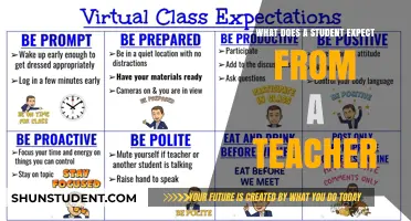 What Students Expect: Key Teacher Qualities for Effective Learning