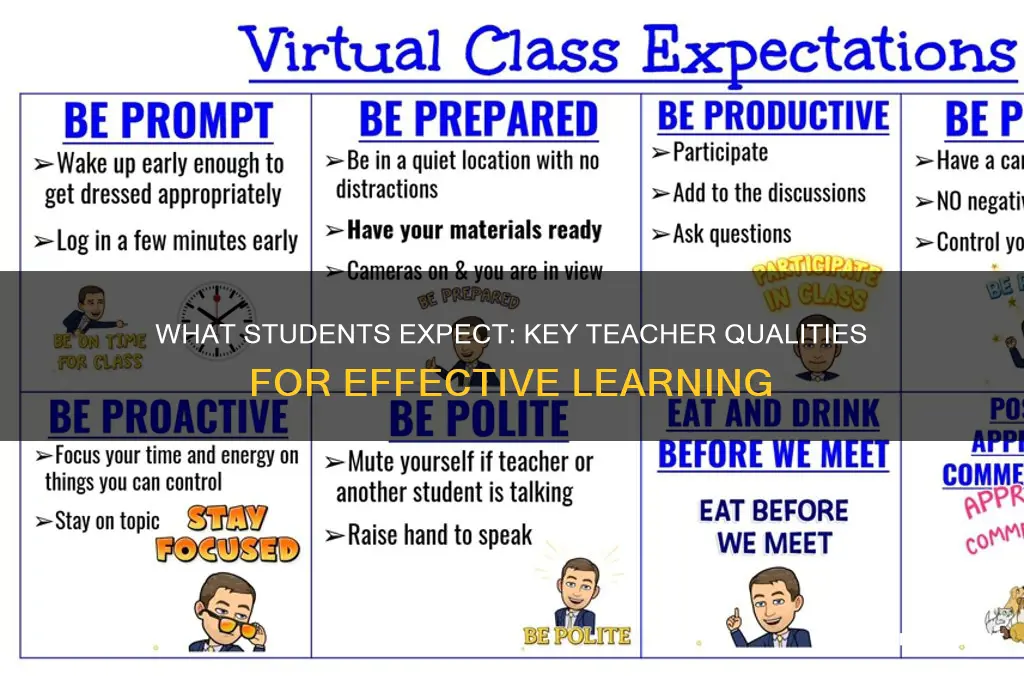 what does a student expect from a teacher