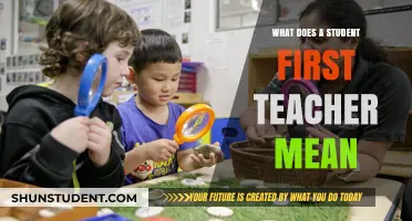 Understanding the Role of a Student's First Teacher: Impact and Importance