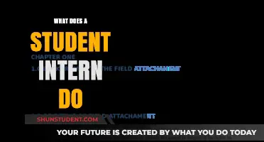 Internship Insights: Student Roles and Responsibilities