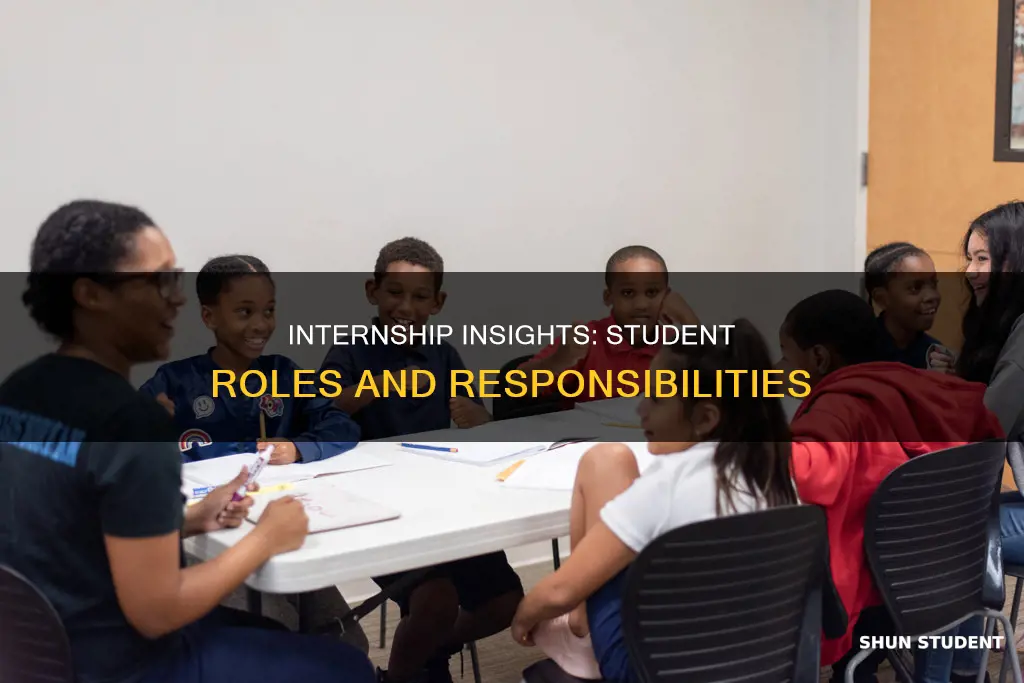 what does a student intern do