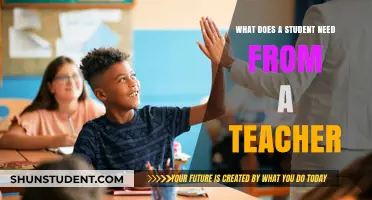 What Students Truly Need: A Teacher's Essential Role and Impact
