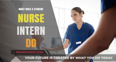Student Nurse Intern: A Day in the Life