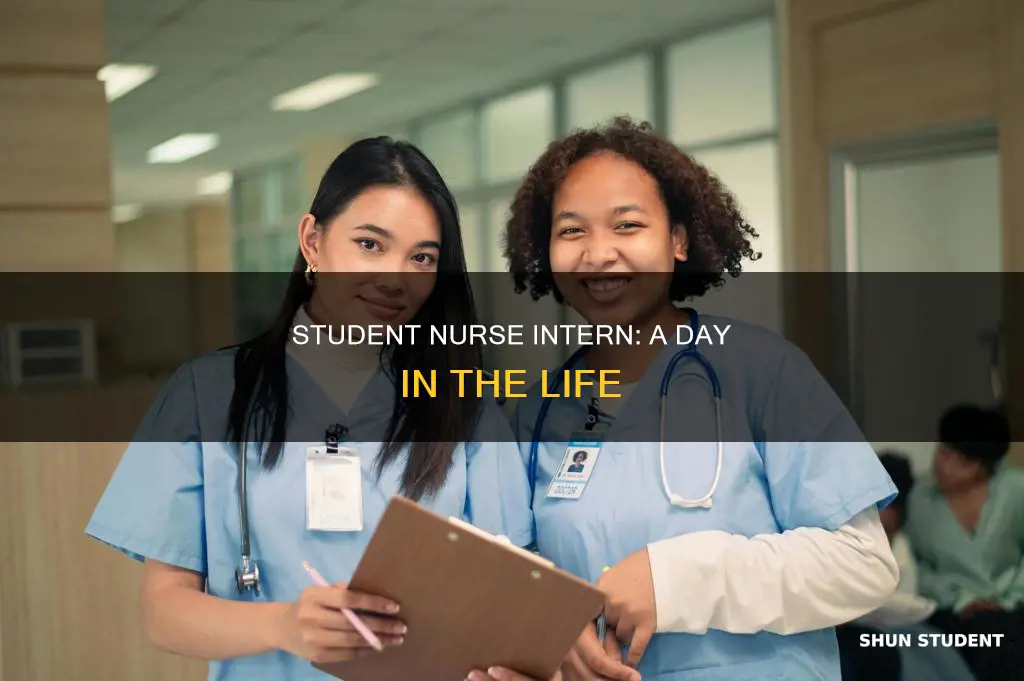 what does a student nurse intern do