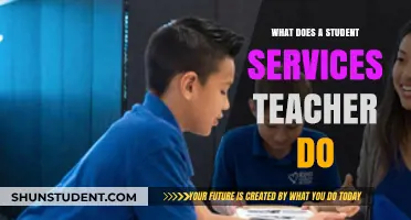 Understanding the Role of a Student Services Teacher in Education