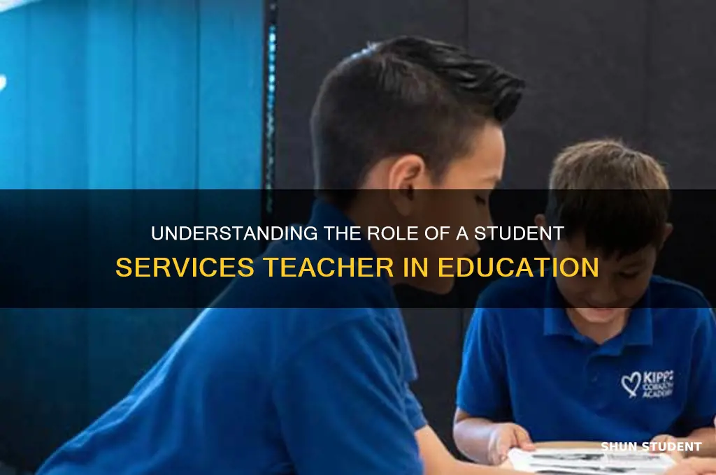 what does a student services teacher do