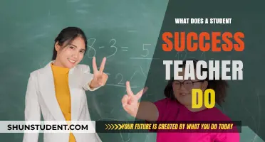 Understanding the Role of a Student Success Teacher in Education