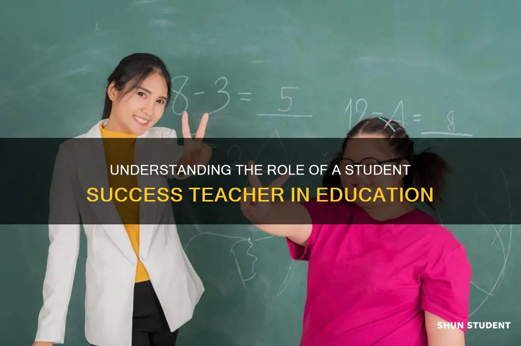 what does a student success teacher do