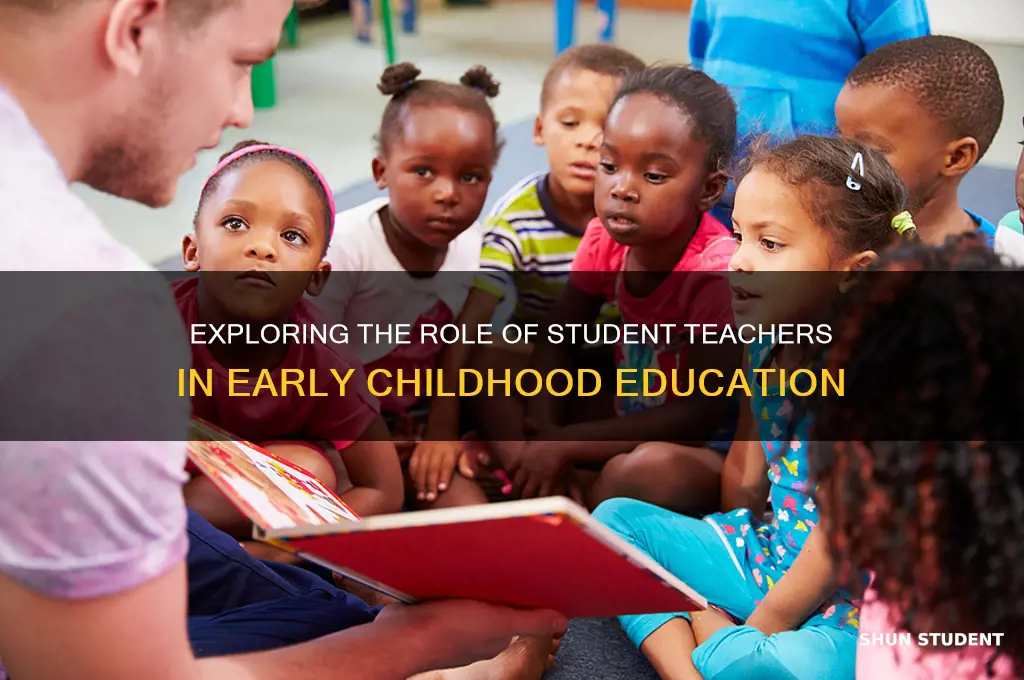 what does a student teacher do in early childhood education
