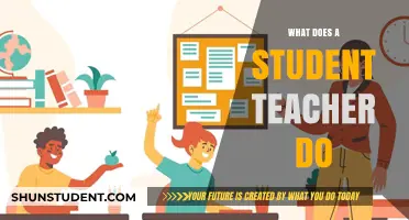 Exploring the Role of a Student Teacher: Responsibilities and Impact