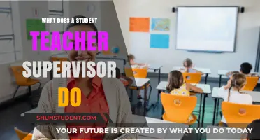 Understanding the Role of a Student Teacher Supervisor in Education