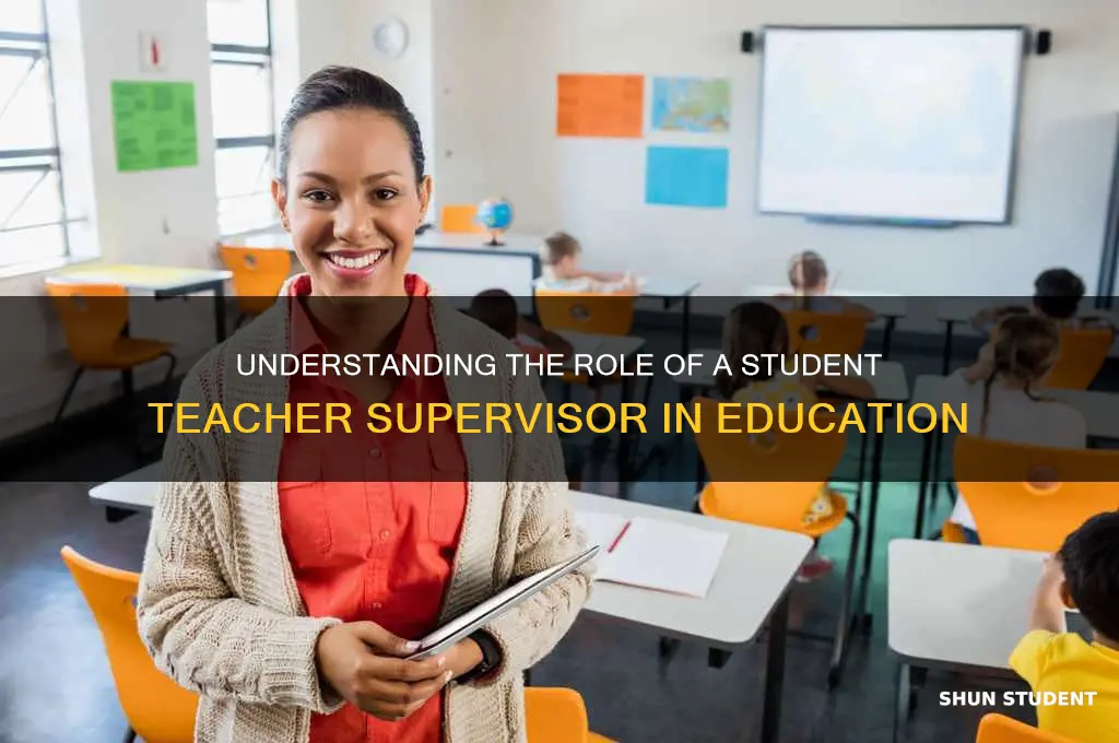 what does a student teacher supervisor do