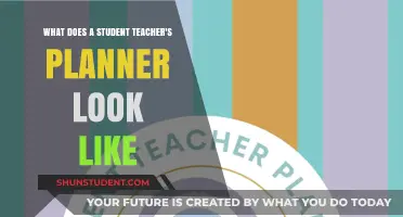 A Student Teacher's Planner: Organization, Lesson Plans, and Time Management