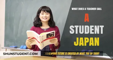 What Japanese Teachers Call Students: Understanding Classroom Etiquette in Japan