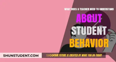 Understanding Student Behavior: Key Insights for Effective Teaching Strategies