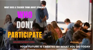 Silent Students: A Teacher's Perspective on Classroom Participation
