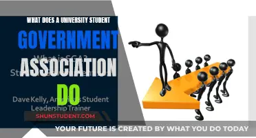 Unveiling the Role of Student Government: Empowering Campus Life